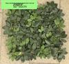 Flame-Retardant Green Wall: Anti-Aging Lawn Decoration for Malls & Backgrounds