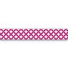 Masking Tape Fuchsia and White 10 M