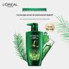 L'Oréal Tea Tree Oil Control Anti-Dandruff Shampoo