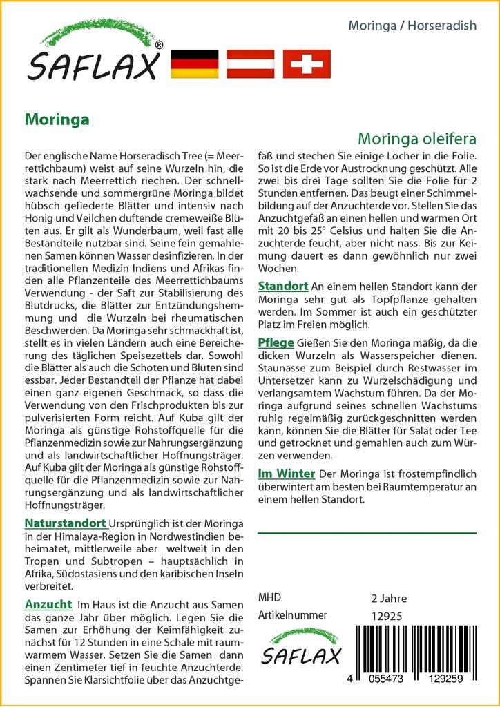 SAFLAX Хрен - 10 семян - Moringa oleifera