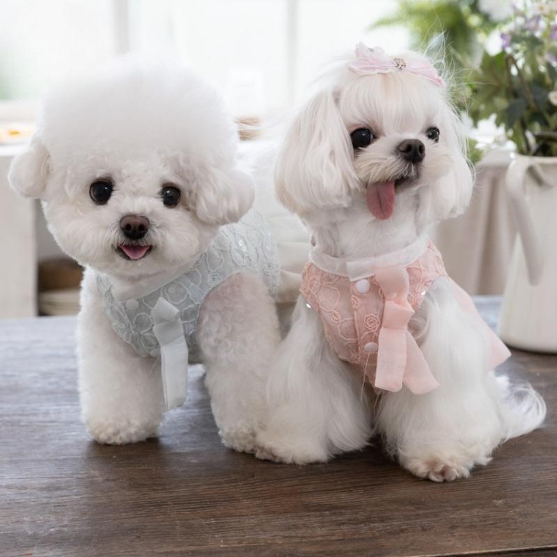 Pet Spring Embroidery Comfortable Lace Princess Skirt Pleated Skirt Teddy Cute Vest Dog Dresses for Small Dogs Puppy Clothes