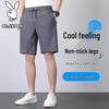 PLAYBOY Мужские летние спортивные шорты с эффектом прохлады