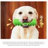 1 Piece of Dog Grinding Toothbrush Toy for Chewing and Cleaning Teeth, Dog Teeth Care, Super Hard Pet Cleaning Toy Supplies