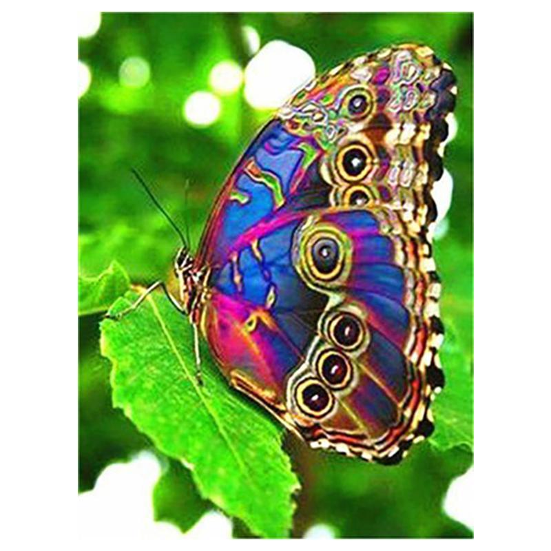 5D Diy Diamond Painting Butterfly Animal Cross Stitch Kit Full Drill Embroidery Mosaic Art Pictures of Rhinestones Home Decor