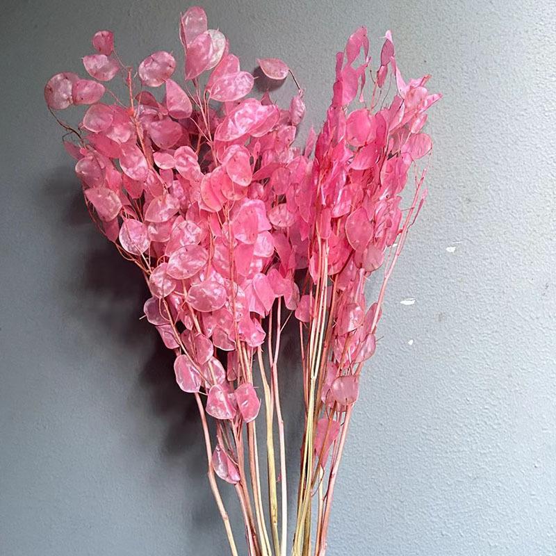 Сухоцвет серебряный веер, белый цветок, украшение для дома своими руками, букет, натуральный настоящий цветок, сухоцвет серебряный веер, бессмертный цветок