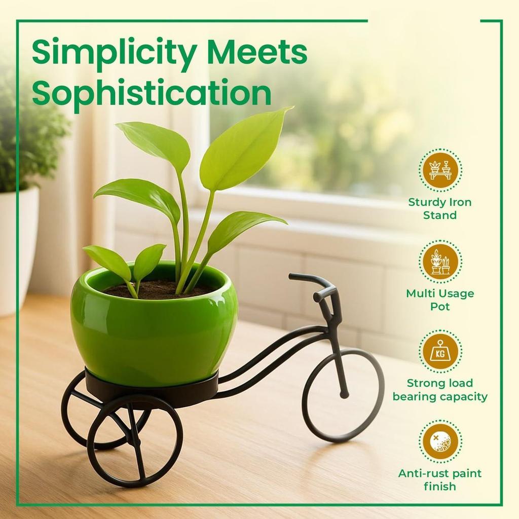 Cycle-Shaped Metal Plant Stand for Indoor & Outdoor Use, Metal Cycle Flower Vase, Decorative Iron Planter Pot Holder for Flowers & Ornaments