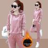 Women's Hooded Sweatshirt Tops Tracksuit High Waist Harem Ankle Length Pant Suits Plush Lined Outfit Winter Thicken Velvet 2 Pieces Sets