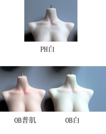 FASHIONUANDO Маленький бюст для масштабного действия Окрашенная грудь Прозрачный чехол Роскошный женский бюст Голова Подставка для красивой красивой средней школы и одежды