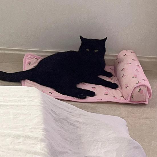 Летний прохладный коврик для собак, охлаждающая кровать, мягкая, дышащая, с рисунком фруктов, износостойкая, моющаяся, спальная кровать для собак и кошек