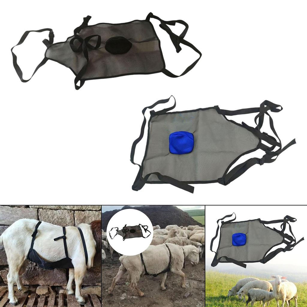 Livestock Protective Cover for Abdomen - Durable And Easy To Use