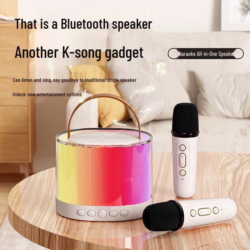 Portable Outdoor Karaoke Speaker System