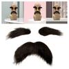 Eyebrows Kits Cosplay Props Decoration Fake Mustache Set Facial Hair For Club Activities Masquerade Costume Party Halloween Male