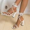 Fashion Women Sandals 2025 Summer Fashion Roman Shoes Sexy Lace Up Party Pumps Shoes Square Toe Thick Heel Outdoors Cross-Strap Sandals