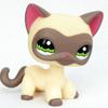LPS CAT Rare Littlest Pet Shop Toys Stands Short Hair Kitten Dog Dachshund Collie Spaniel Great Dane Original Bobble Head Toys