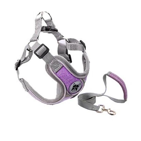 Commli Reflective Mesh X-Type Harness Set for Dogs, Purple