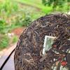 357г Юньнаньский старый сырой чай Пуэр, выдержанный в Гаолигуншане, высокогорный эко