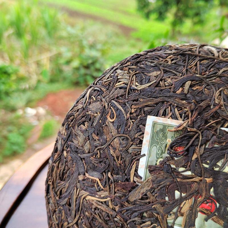 357г Юньнаньский старый сырой чай Пуэр, выдержанный в Гаолигуншане, высокогорный эко