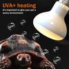 110/220V Reptile Heating Lamp E27 Basking Light Heater Bulb UVA Lamp  Amphibians