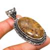 Rock Fossil Gemstone Handmade 925 Silver Plated Jewelry Pendant 2.46"