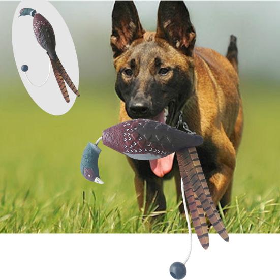 Игрушка для домашних животных, реалистичная форма фазана, голубя, утки, игрушка для дрессировки собак, устойчивая к укусам, игрушка для охотничьих собак, товары для домашних животных