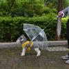 Pet Umbrella Teddy Puppy Umbrella Dog Snow Rain