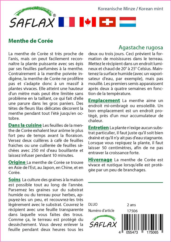 SAFLAX Garden in the Bag - Мята корейская - 1200 семян - С субстратом в подходящем пакете-стойке - Agastache Rugosa