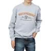 HARRY POTTER Boys Gryffindor Team Quidditch Sweatshirt
