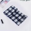 10Pcs Men Women Scarf Plaid Print Tassel Trim Double Sided Velvet Long