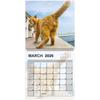 2026 Cat Butt Calendar 12 Monthly Funny Cat Tail Wall Calendar Family Planner Scheduling Tool For Living Room Bedroom