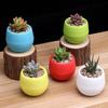 Мини-горшки для суккулентов Маленькие растения DIY Сменные смоляные кашпо с дренажным отверстием Резервуар для воды Настольный декор