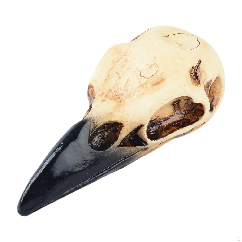 Gothic Raven Skull Necklace for Halloween Home Decor