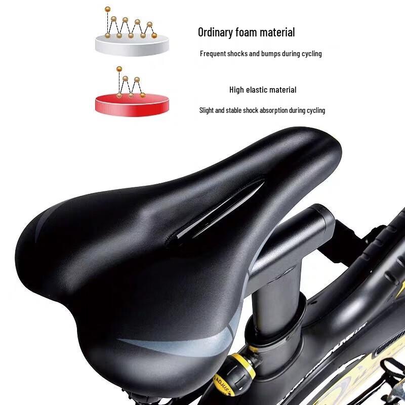 LDIWEI K830 Home Spinning Bike CN plug (adapter included)