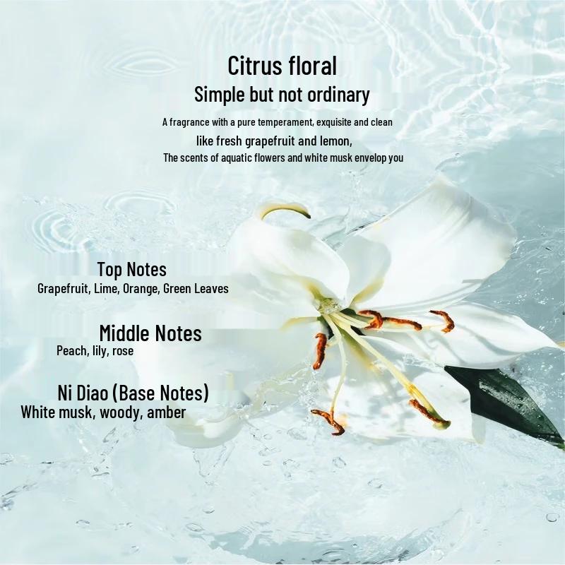 Kao Softening Hair Care Shampoo