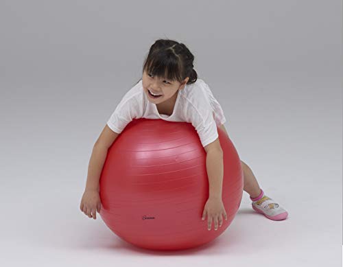 TOEI LIGHT Body Ball 55 H7261