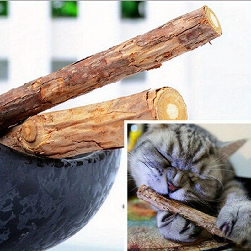 5PCS Cat Cleaning Teeth Pure Natural Catnip Cat Molar Toothpaste Stick Silvervine Actinidia Fruit Matatabi Cat Snacks Sticks