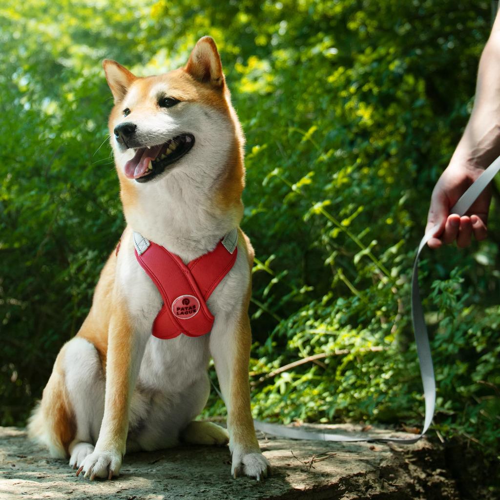 Patas Lague Dog Harness with Leash for Small Lightweight Mesh Material with Reflective Easy To Put On and Take Includes Toilet Bag Dogs, Material,