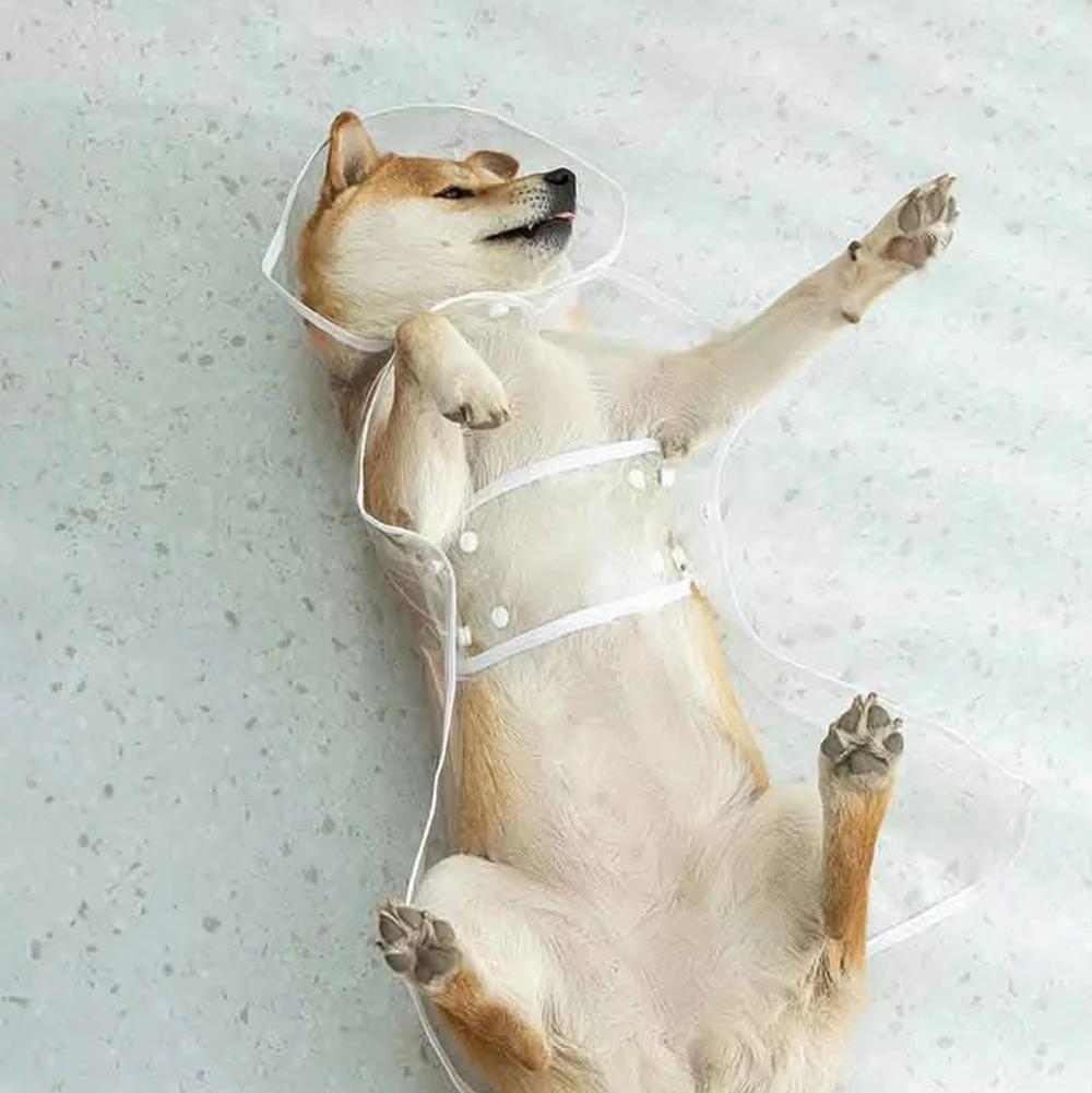 Сплошной дождевик для домашних животных для маленьких и средних собак Водонепроницаемый Собака Щенок Собака Пончо Дождевик Пудель Питомцы Одежда Дождевик Собака