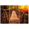 Three Piece Picture Canvas Print Autumn Forest Leaves Bridge