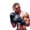 RDX F15 Boxing Gloves Black/Black 12oz