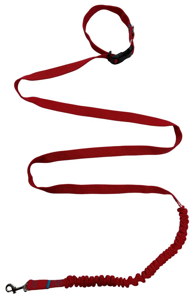 Dog Leash with Shock Absorber 480cm RED Adjustable HandsFree Made in Poland