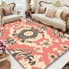 Living Room European Style Carpets Large Area Sofa Area Rugs for Bedroom Decoration Cloakroom Floor Mat Non-slip Entrance Carpet
