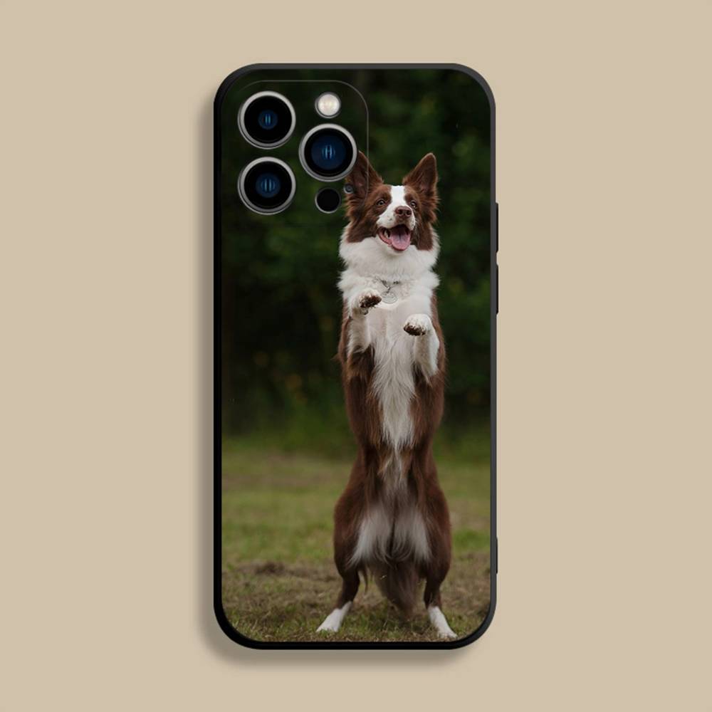 Чехол для телефона с собакой Бордер-колли для iPhone 17,16,15,14,13,12,Pro,Max,Plus,E,SE4,Air,Mini Черный Мягкий Чехол