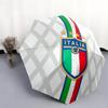 FIGC pattern, automatic folding umbrella, portable and foldable design, 8 ribs, a Christmas or birthday gift.