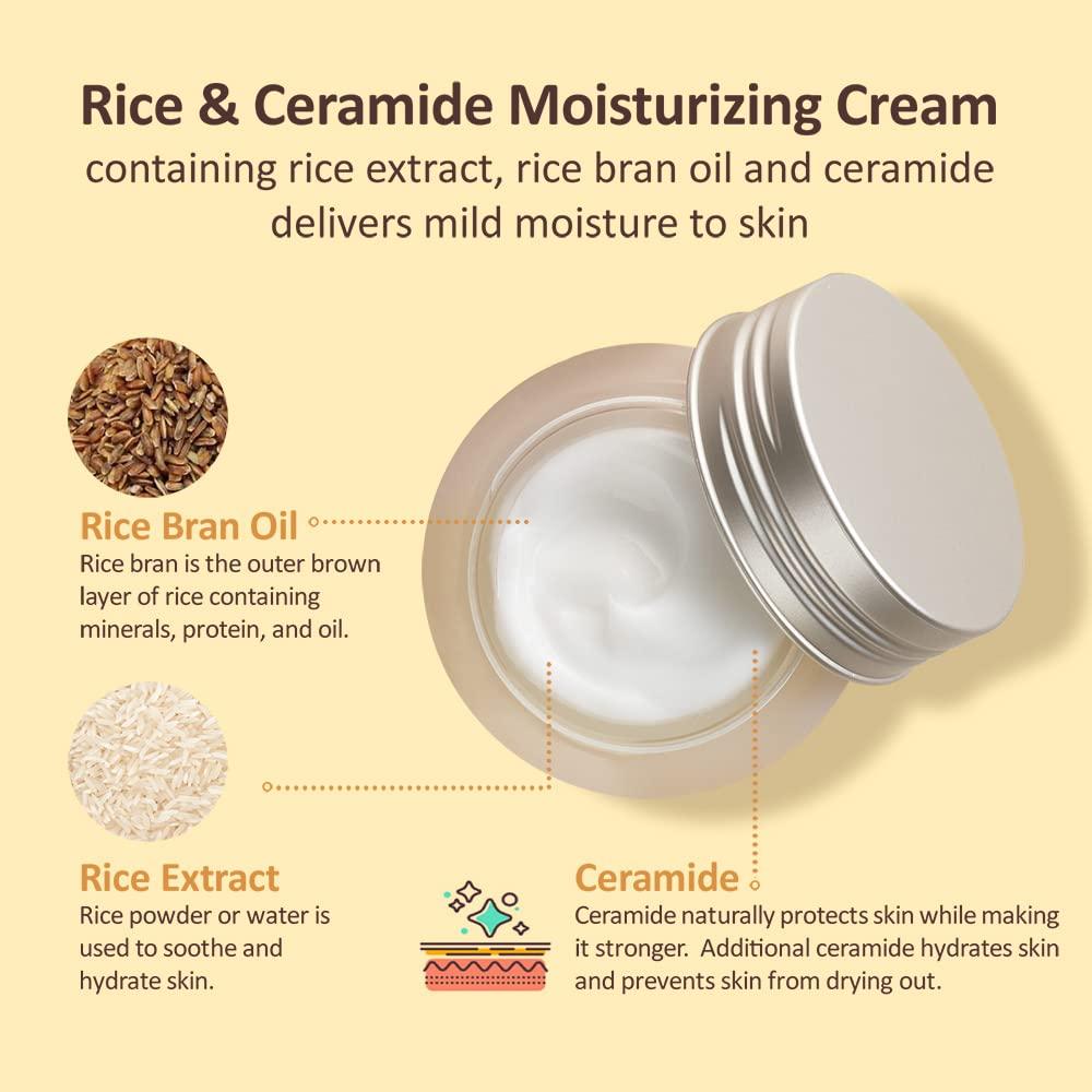 The Face Shop Rice & Ceramide Moisturizing Cream 50ml