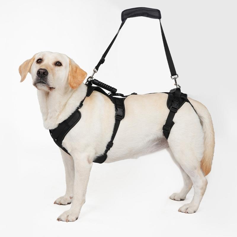 Two-Part Dog Support with Front Walking Section, Rear Support Section, and Side-Release Buckles for Daily Use