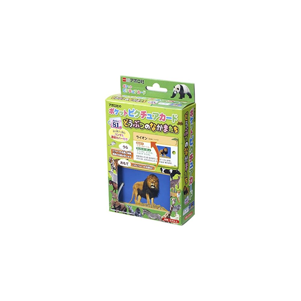 Epoch Pocket Picture Cards Animal Friends 08-305 with Ring and Clear Cover for Ages 3 and Up Toy
