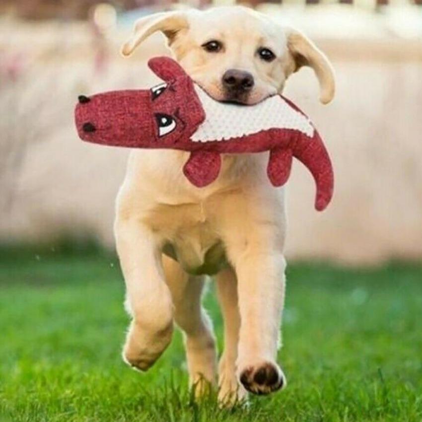 Игрушка для собак