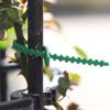 50/100Pcs Reusable Plastic Plant Support Clips Clamps Plants Hanging Vine Garden