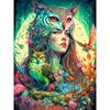 Acrylic Painting By Numbers For Adults Owl And Queen Picture By Numbers Frameless On Canvas Home Art Decor Unique Gift