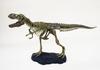 Набор для сборки скелета тираннозавра рекса T-REX (средний)